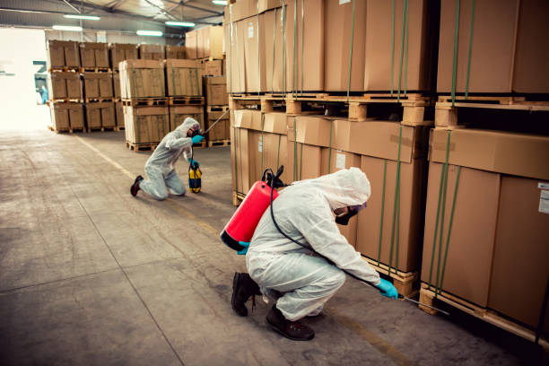 Best Rat Extermination Near Me  in Sunnyside, CA