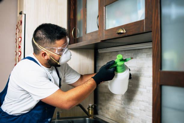 Best Pest Removal Services  in Sunnyside, CA