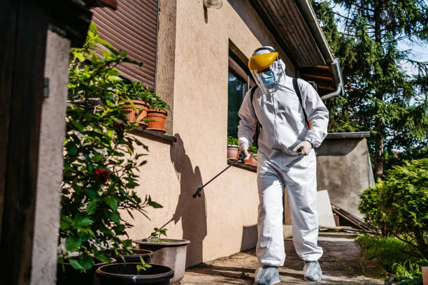 Best Best Pest Control Companies  in Sunnyside, CA