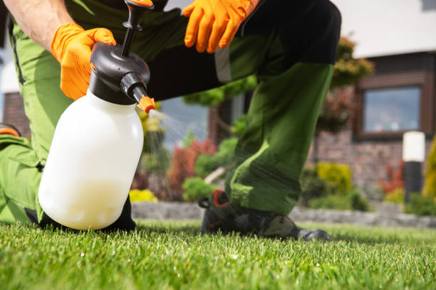 Best Rodent Control Near Me  in Sunnyside, CA