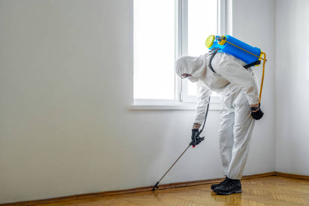Best Ant Control Services  in Sunnyside, CA