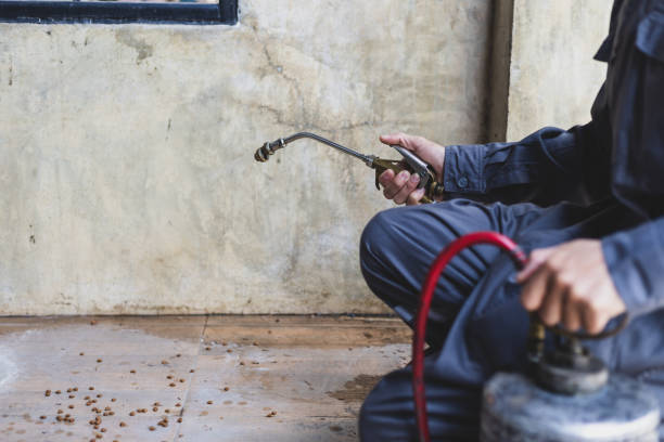 Best Emergency Pest Control  in Sunnyside, CA
